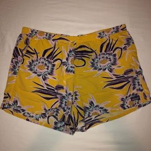 Patagonia Baggies Shorts